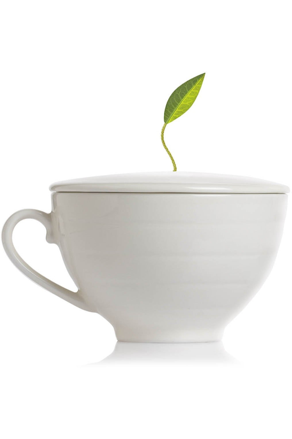 Tea Forte Cafe Cup Bone White