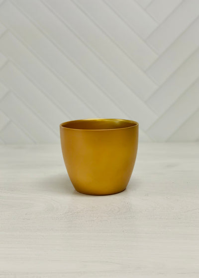 POT, GOLD 6.25" CVR/POT