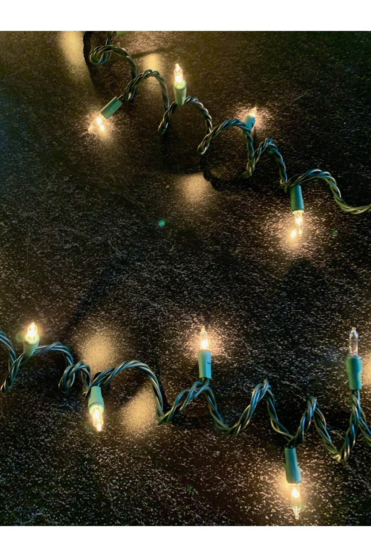 Designer Series Lights 100 Lights Green Cord/Clear