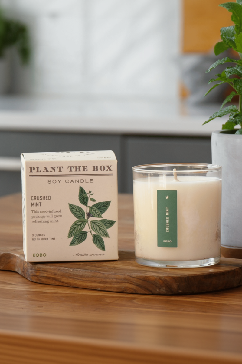 KOBO Crushed Mint Plant the Box Candle 9 oz