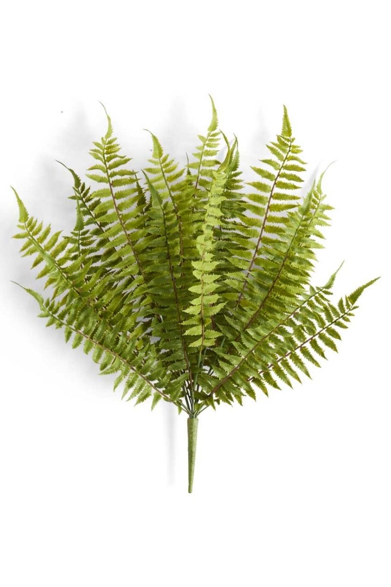 SILK BUSH FERN 24"