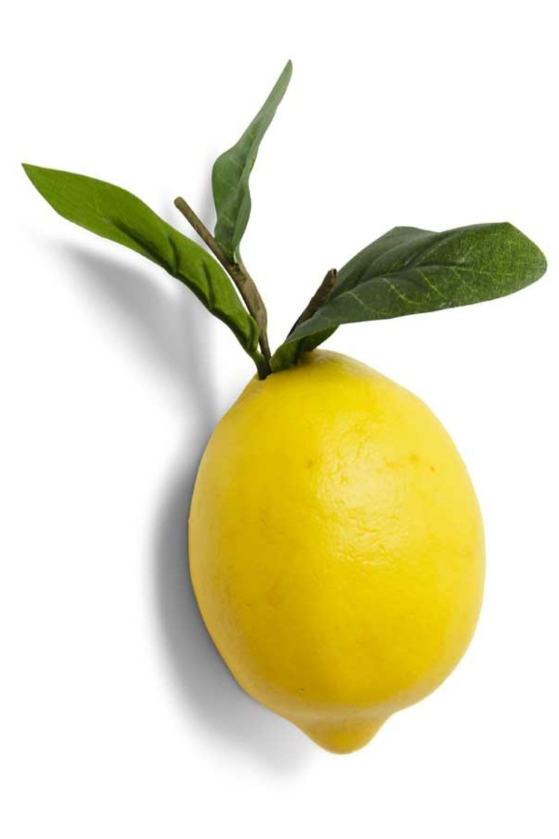 SILK, LEMON W/FOLIAGE
