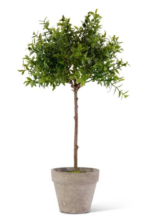 SILK TOPIARY PTTD TEA LEAF 14"