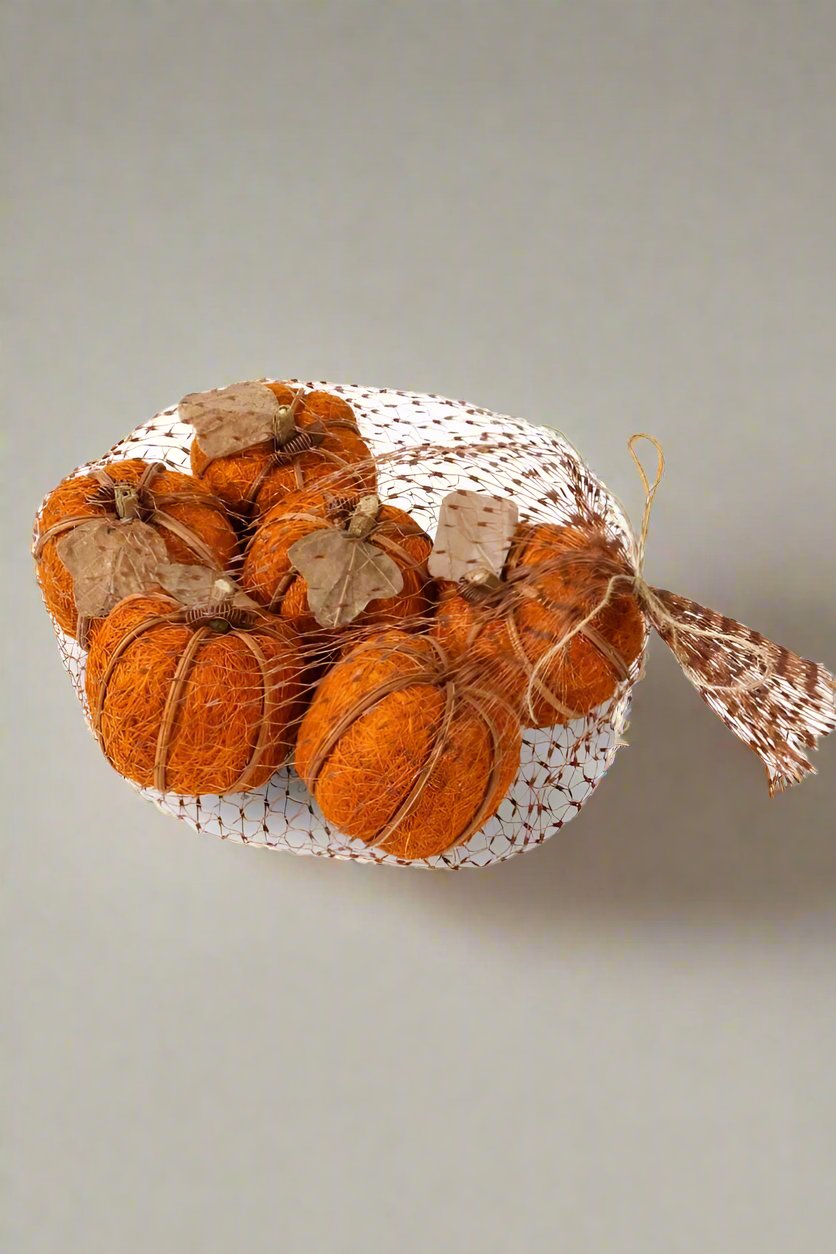 Bag of Six Orange Husk Pumpkins