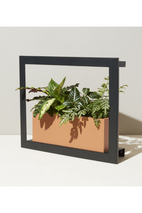 Grow Frame Matte Black