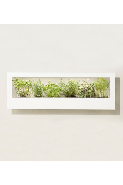 Landscape Growframe | Matte White