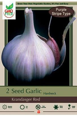 BULB GARLIC KRANDSGER RED 2/PK