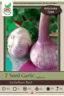 Allium Garlic Inchelium Red Bulb 2 Pack