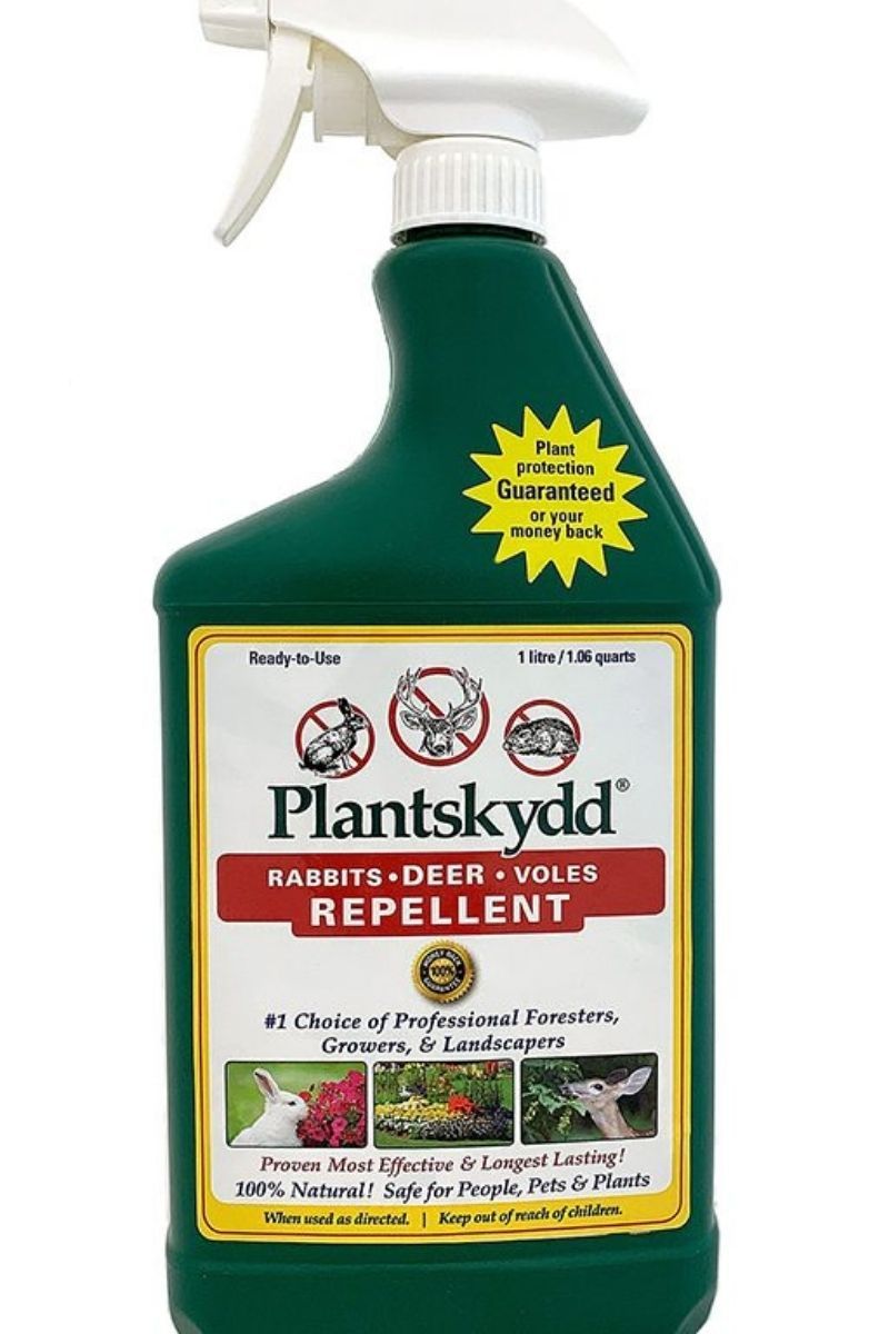 Plantskydd Repellent Ready To Use Liquid 1 Quart