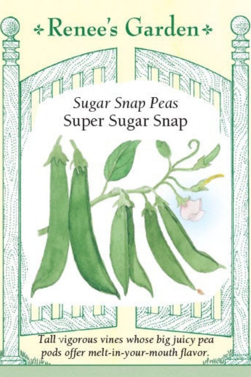 Renee's Garden Sugar Snap Peas Super Sugar Snap Seeds