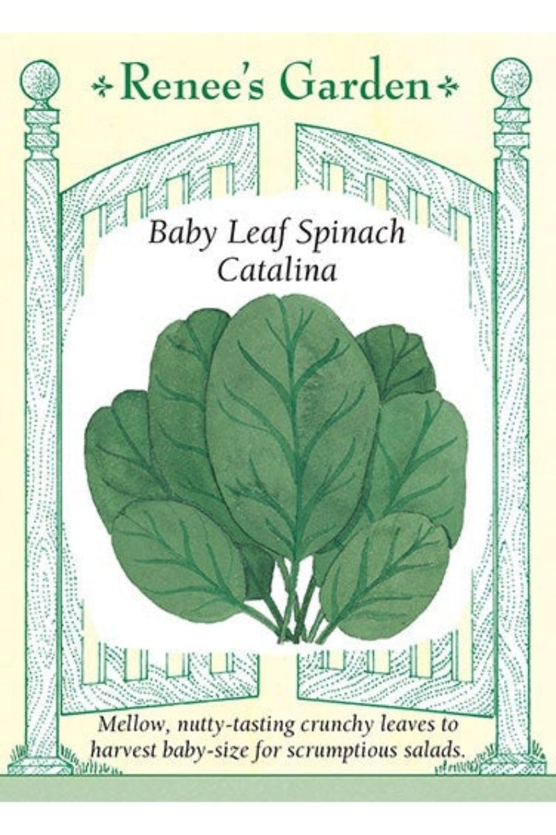 Renee's Garden Baby Leaf Spinach Catalina Seeds