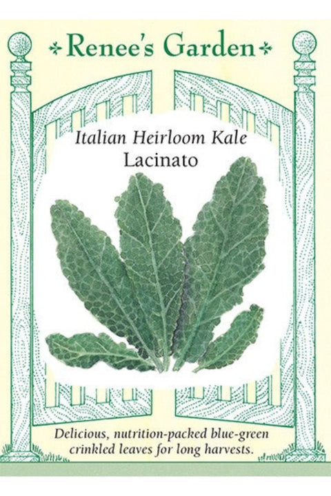 Renee's Garden Italian Heirloom Kale Lacinato  Seeds