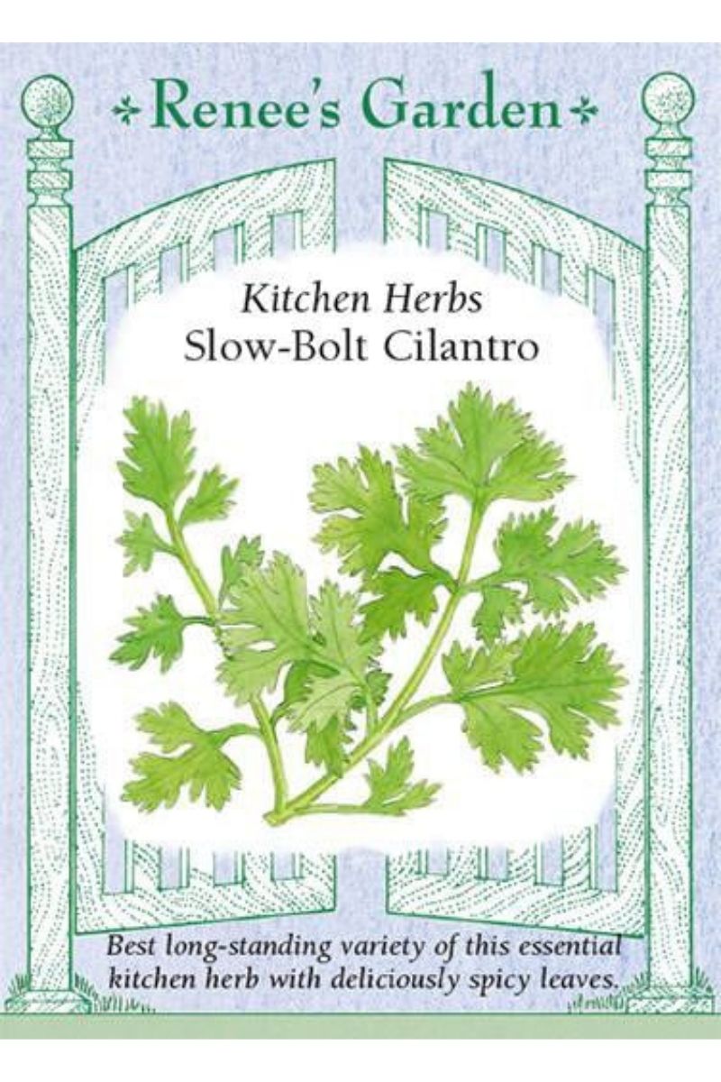 Renee's Garden Kitchen Herbs Slow-Bolt Cilantro Seeds