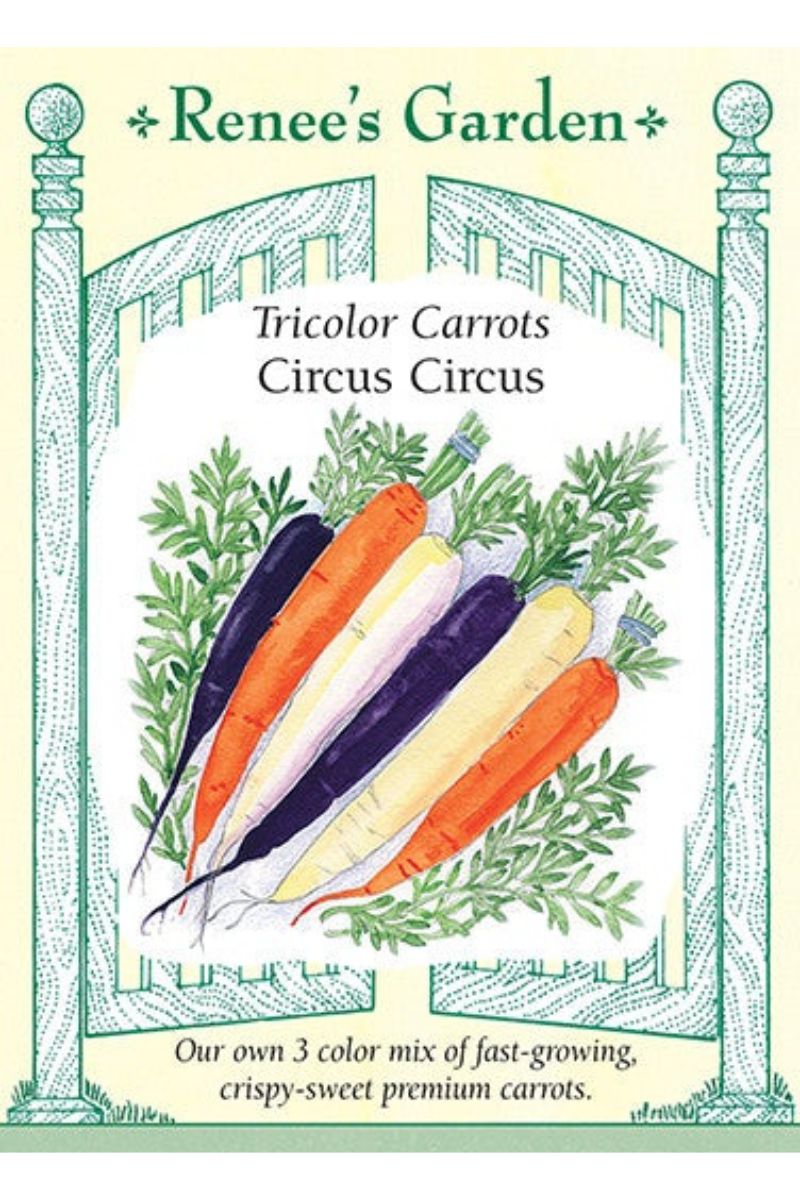 Renee's Garden Tricolor Carrots Circus Circus Seeds