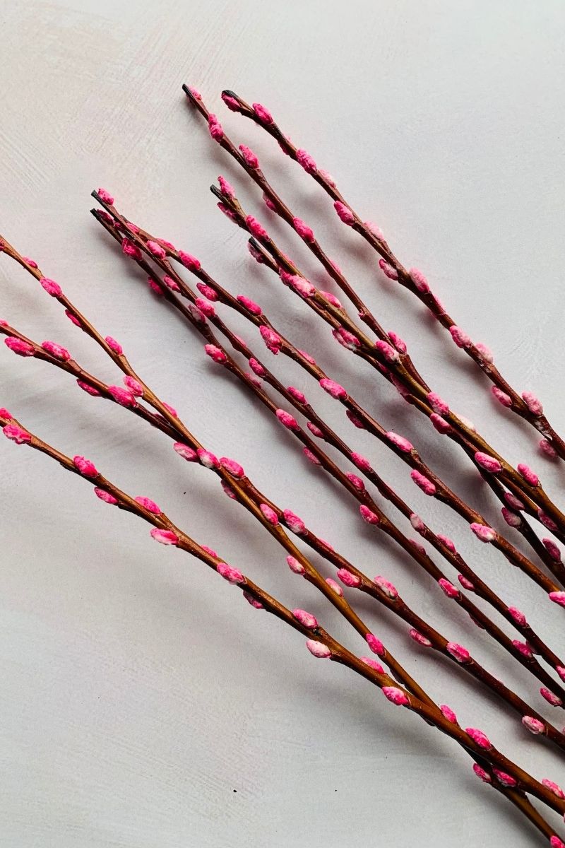 Pussy Willow Seasonal Stems Bunch 36" Hot Pink