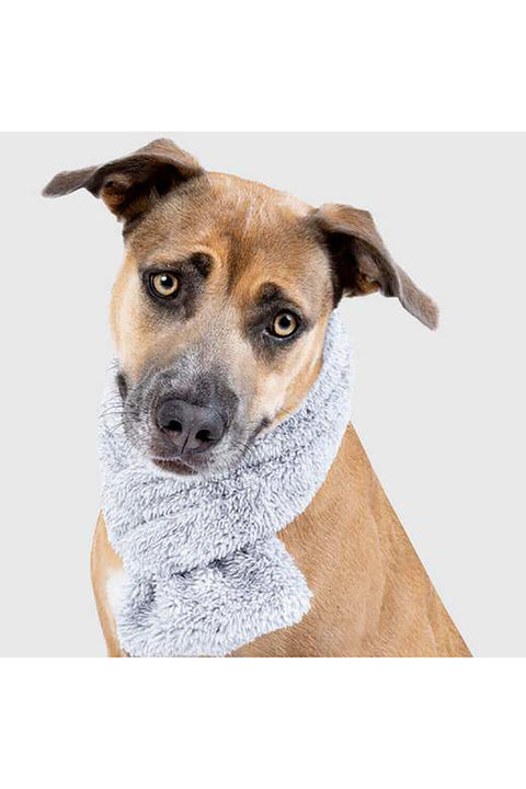 CANADA POOCH GREY SCARF SM