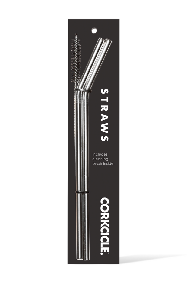 STRAWS, STAINLESS 2 PACK