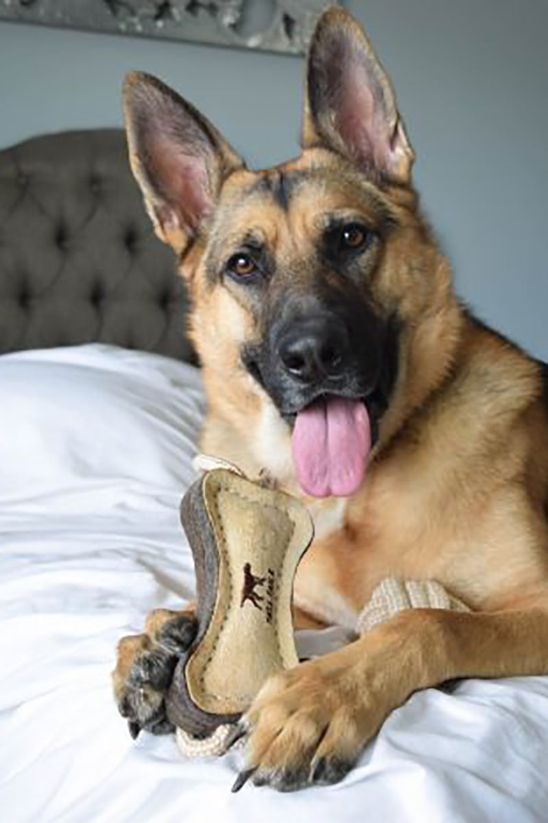 Tall Tails Natural Leather Bone Dog Toy 16"