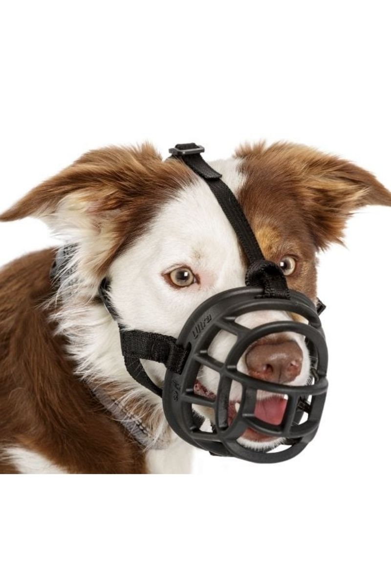 The Company Of Animals Baskerville Muzzle Black Size 1