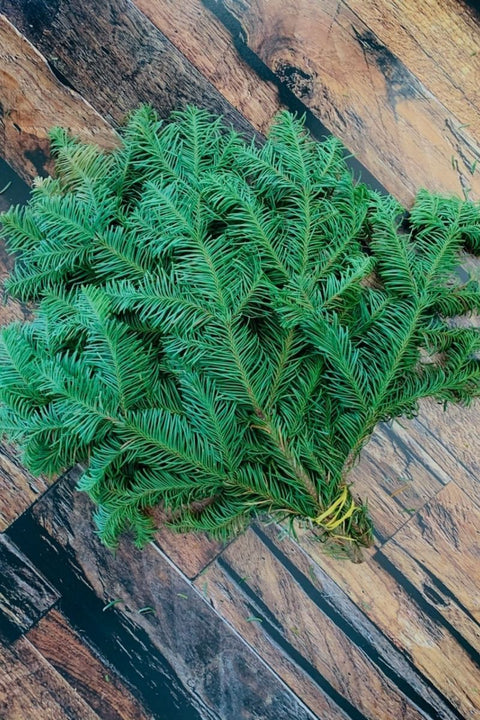 Noble Fir, Tips