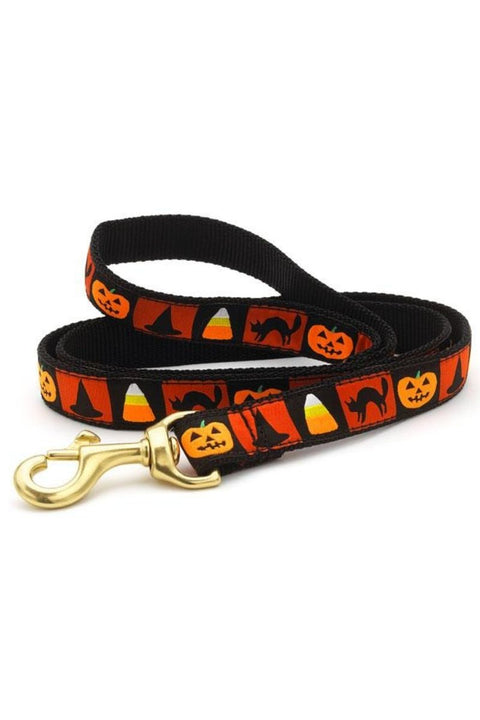 UP COUNTRY HALLOWEEN LEAD 6FT