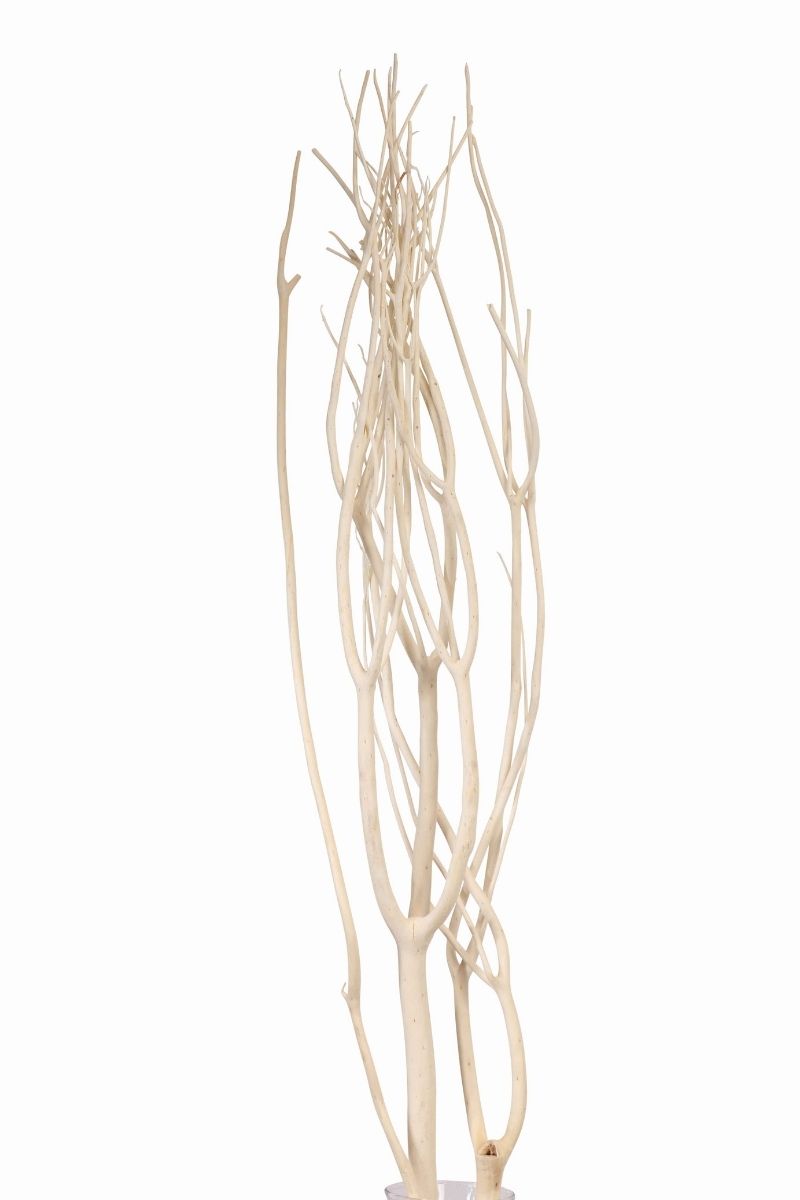 Dried Mitsumata 3 Pieces Bleached