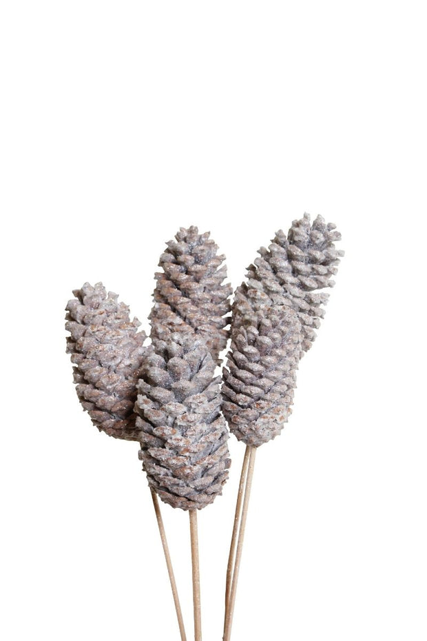 Dried Pine Cones Large 10-15 cm 6 Stem Frosted