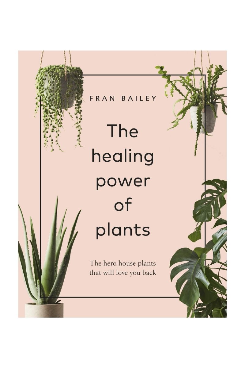 The Healing Power of Plants: The Hero Houseplants That Will Love You back