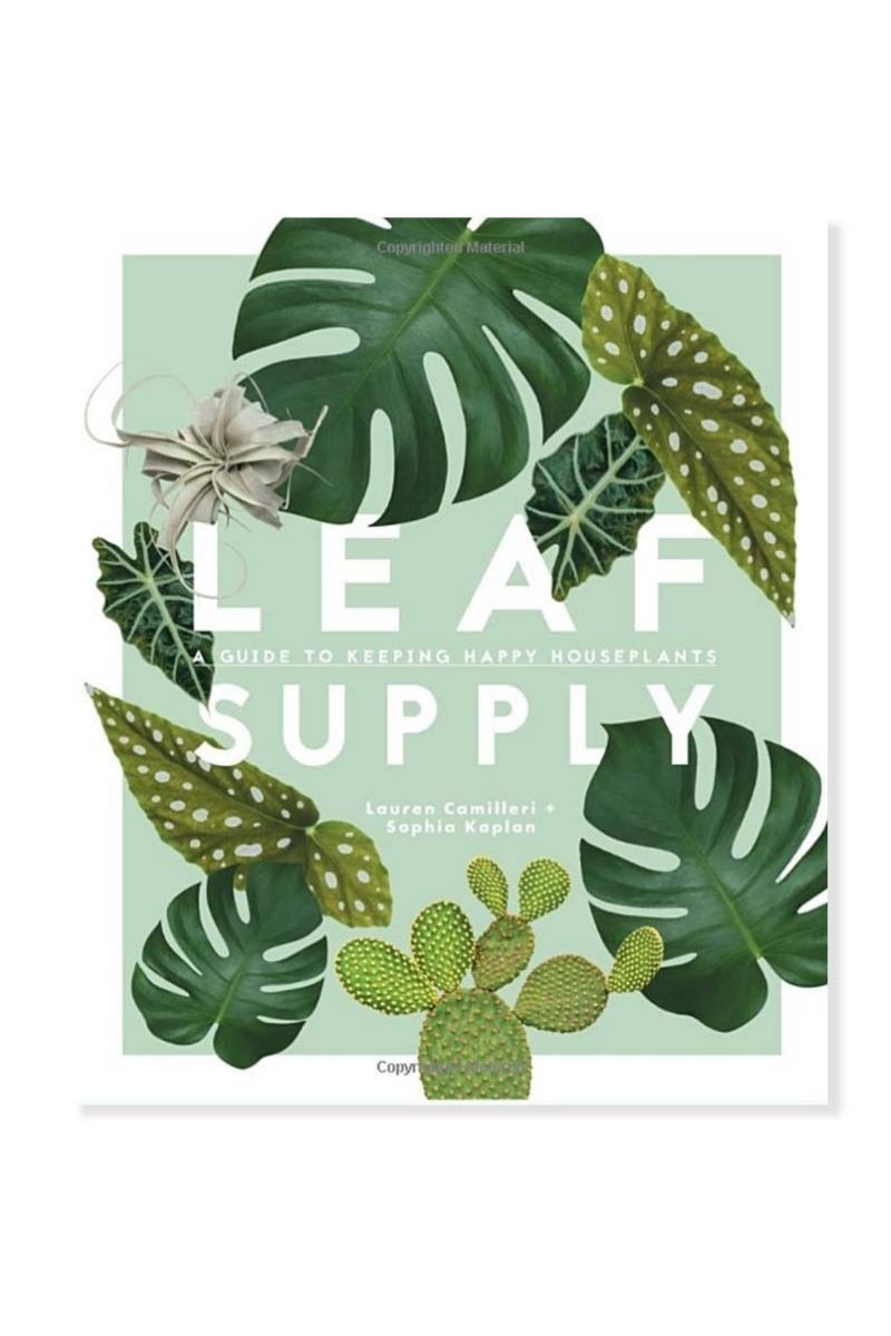 Leaf Supply: A Guide to Keep Happy House Plants