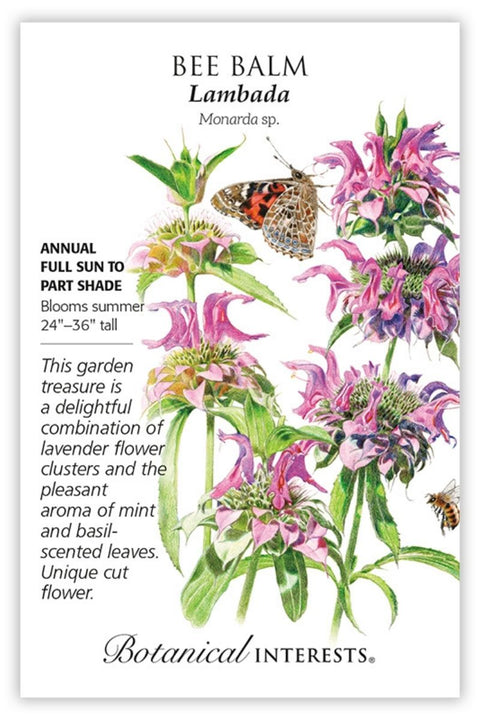 Botanical Interests Lambada Bee Balm Seeds