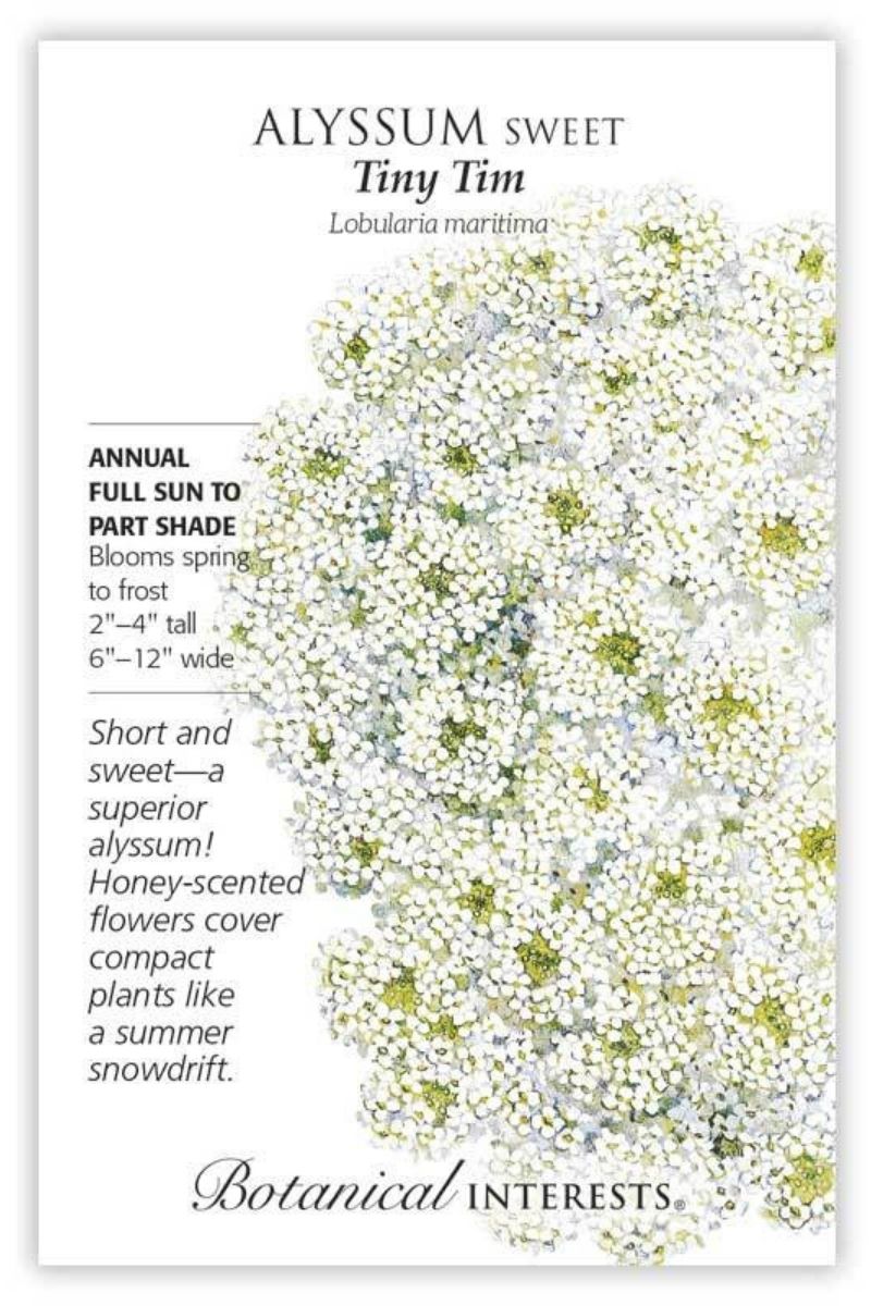 Botanical Interests Tiny Tim Sweet Alyssum Seeds