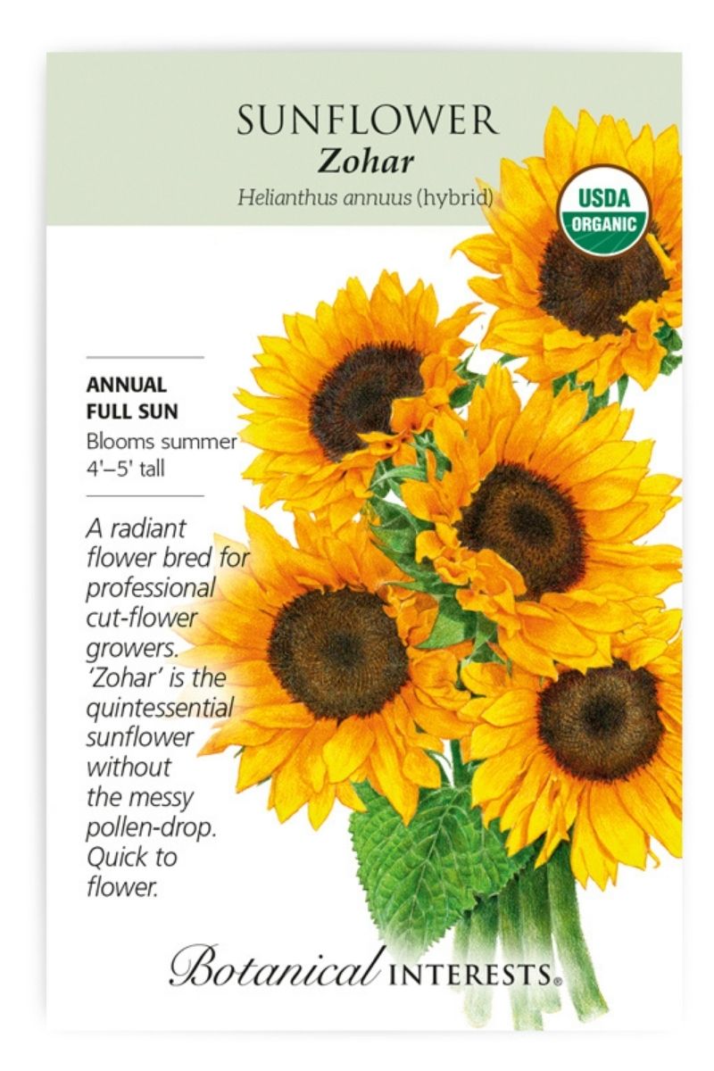 Botanical Interests Zohar Sunflower Organic Seeds