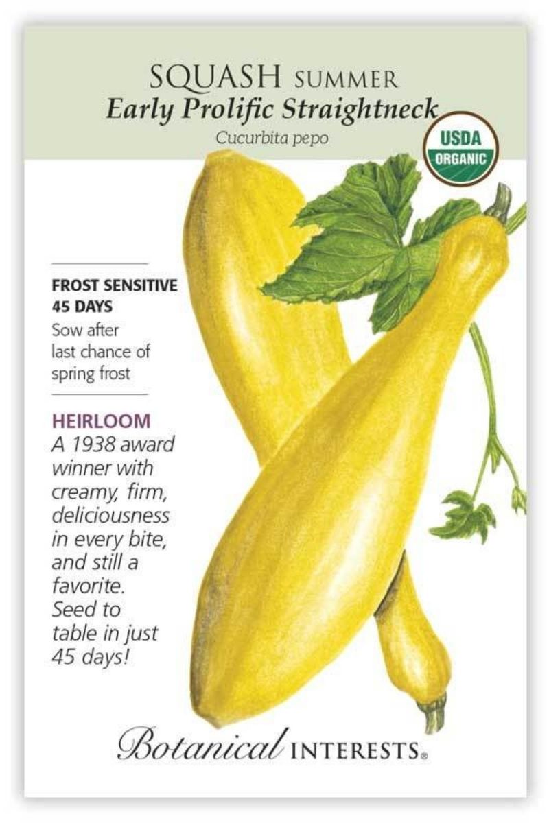 Botanical Interests Early Prolific Straightneck Summer Squash Organic Seeds