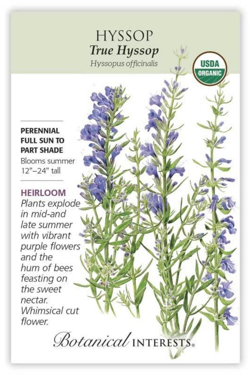 Botanical Interests True Hyssop Organic  Seeds