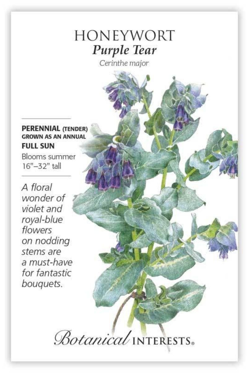 Botanical Interests Purple Tear Honeywort Seeds