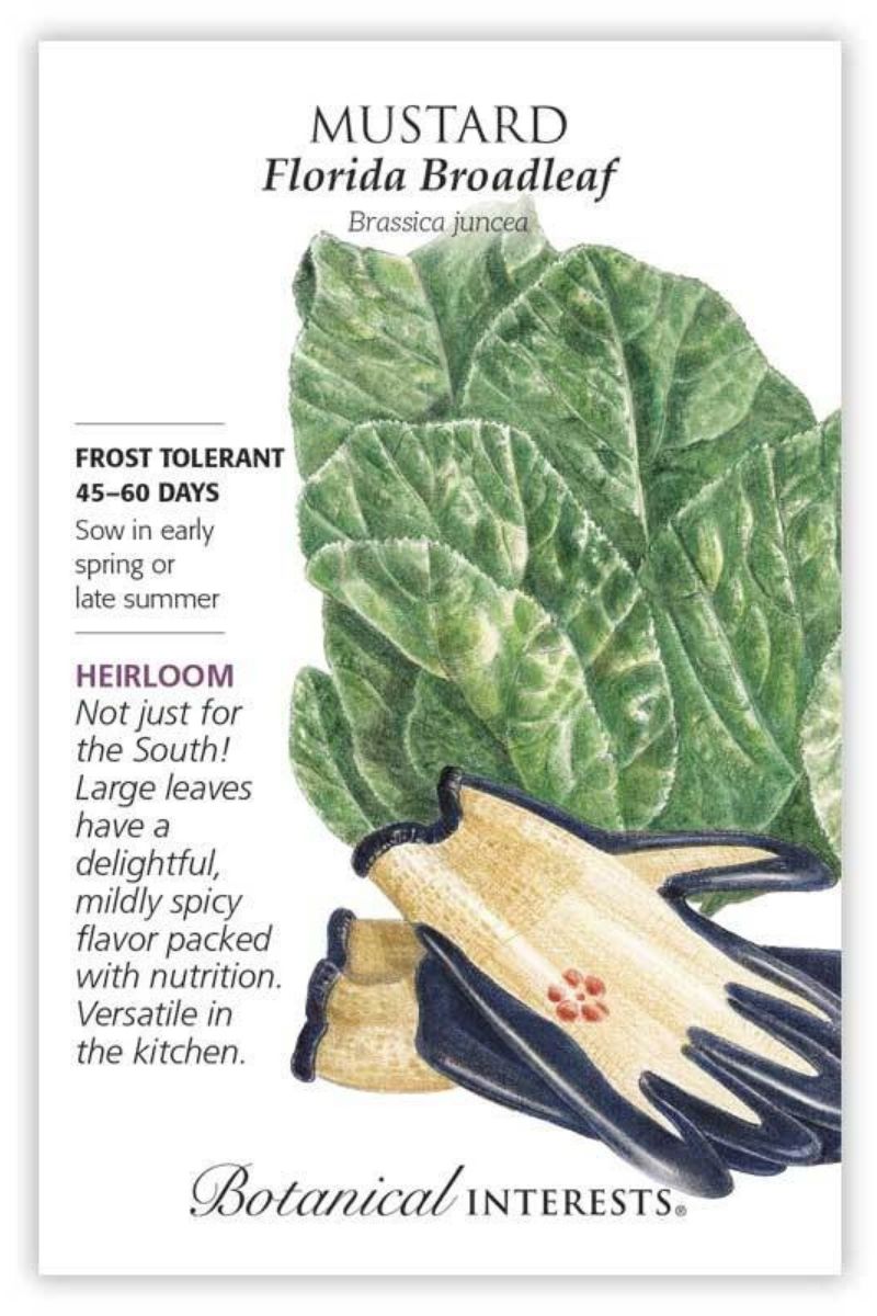Botanical Interests Florida Broadleaf Mustard Seeds