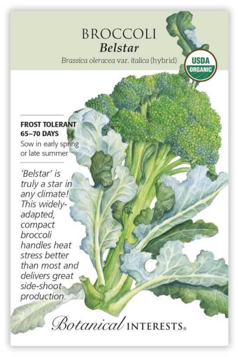 Botanical Interests Belstar Broccoli Organic Seeds