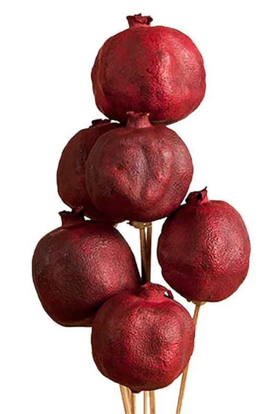 Dried Stem, Pomegranate