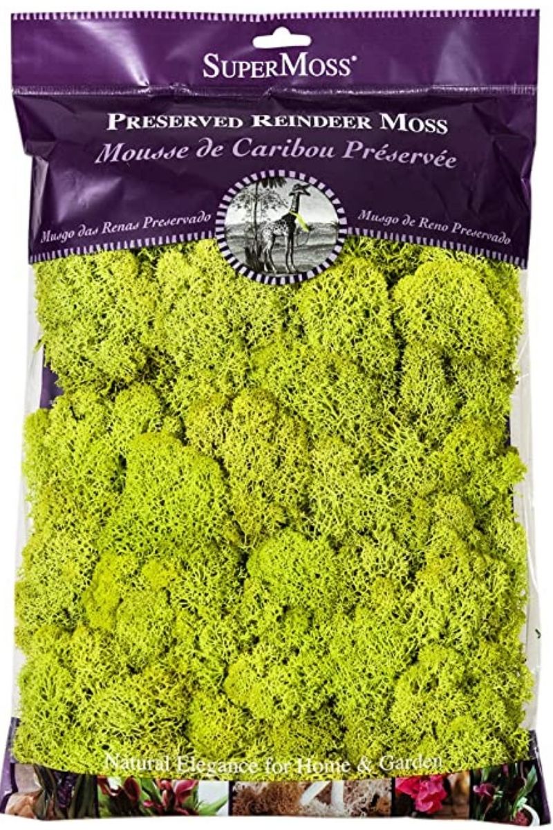 SuperMoss Reindeer Moss Chartreuse 2 oz