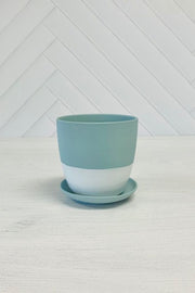 Chive Pot & Saucer Porcelain 3" Peacock Green