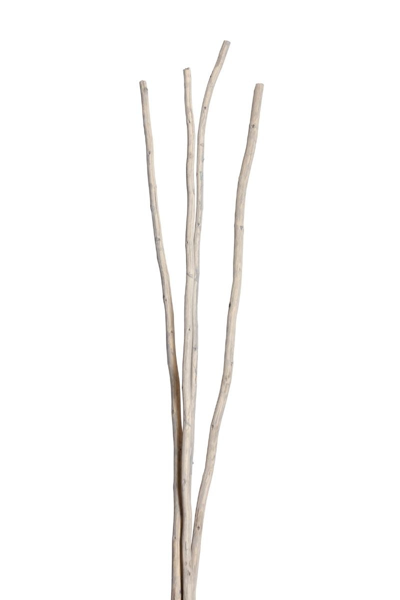 Vyn Dried Mitsui Stick Grey Wash (3-4 stem)