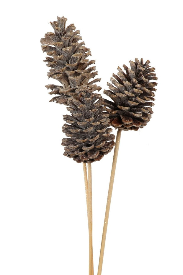 Dried Pine Cones Large 10-15 cm 3 Stem Frosted