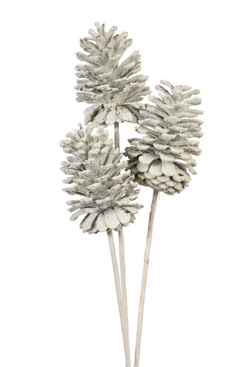 Dried Pine Cones Large 10-15 cm 3 Stem White on White