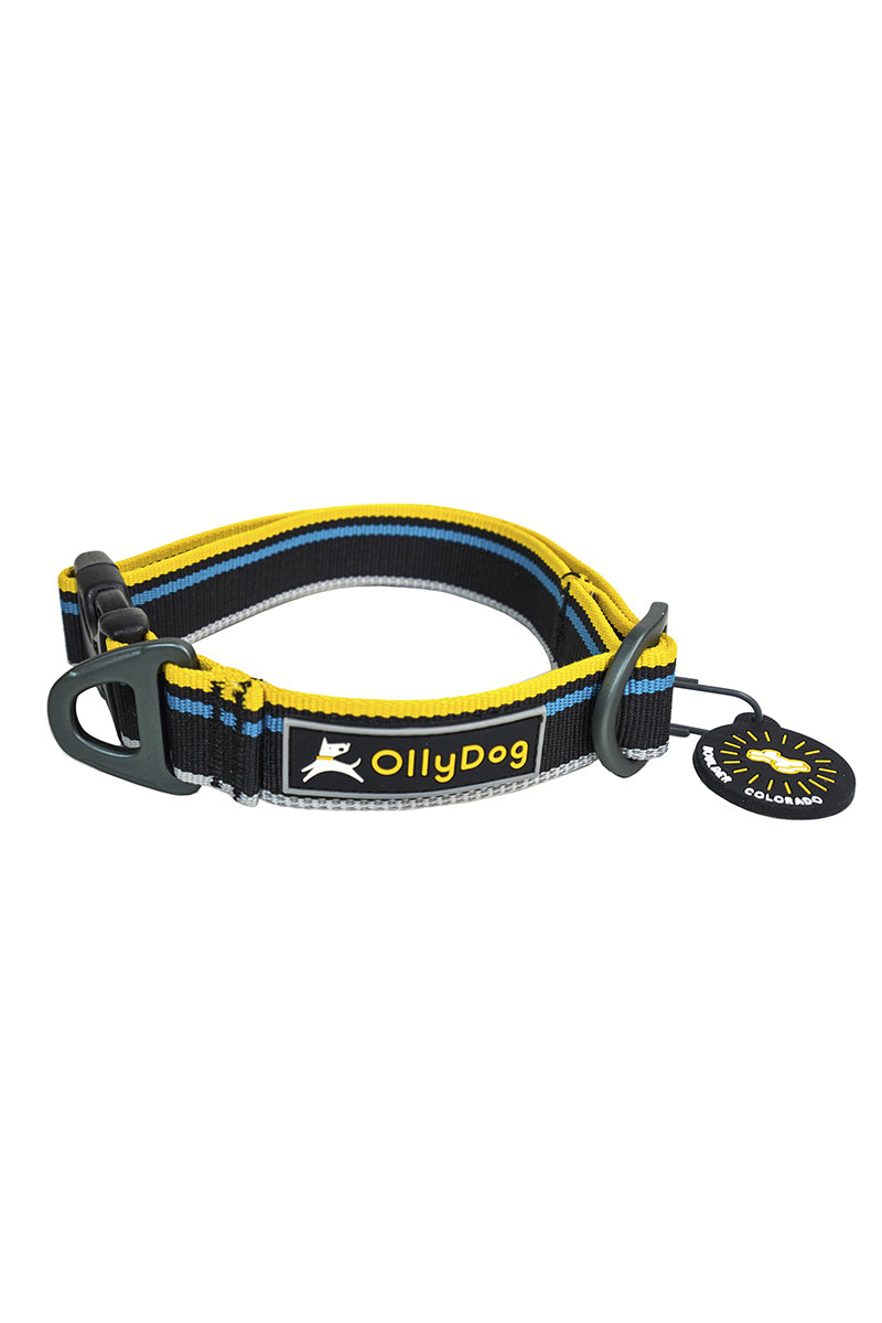 Olly Dog Urban Journey Reflective Dog Collar Small Anthracite