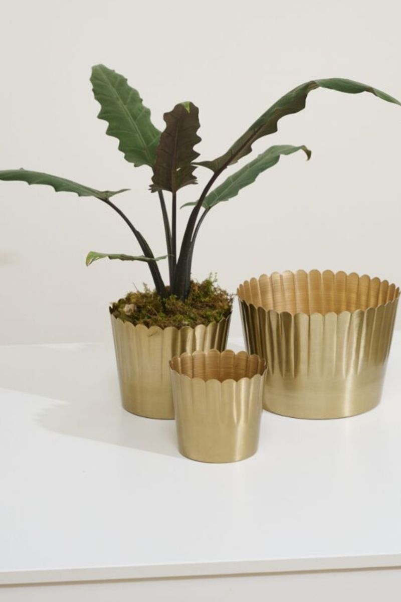 Delicata Pot 7.5"x 6" Gold