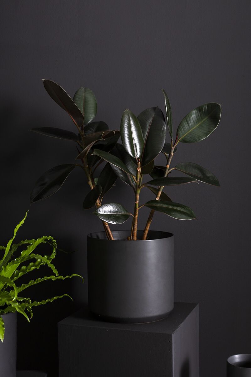 Kendall Pot 4.75"x 4.5"