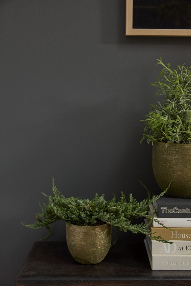 Pigment Pot 5.25"x 5" Green