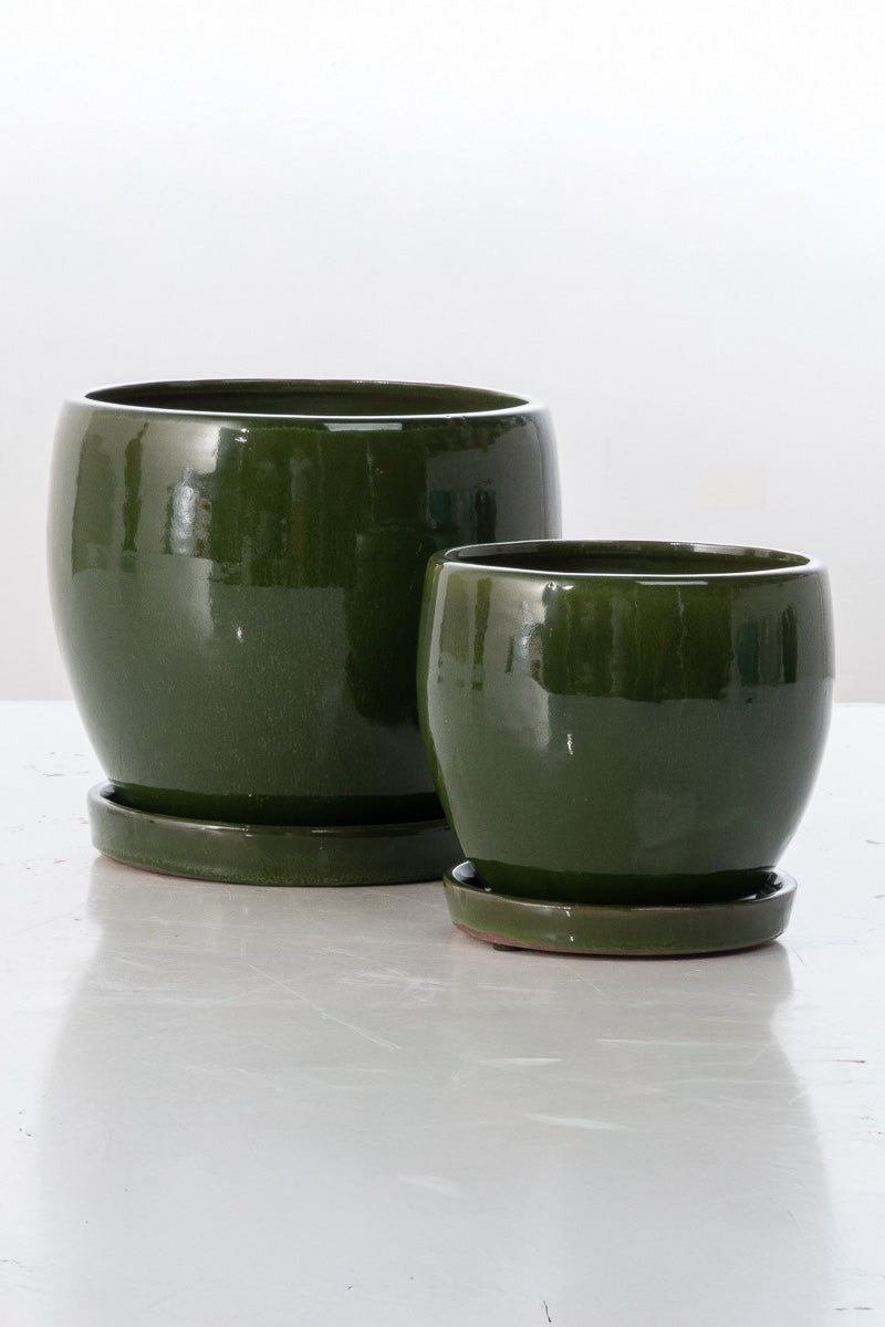Alfresco Nicola Petits Pot with Saucer Large Dark Green