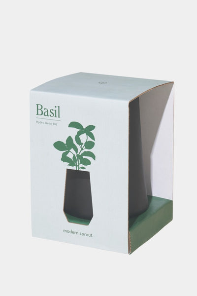 SEED, BASIL TAPERED TUMB GRO