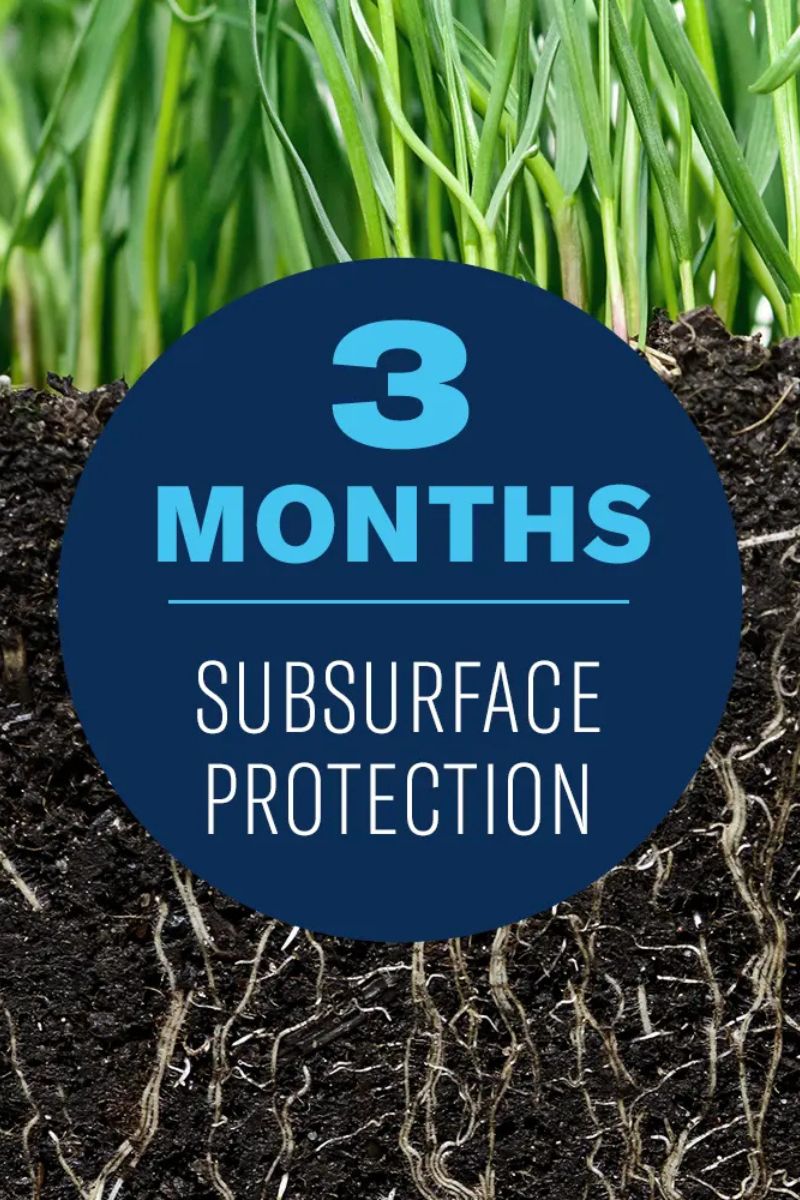 BioAdvanced Complete Insect Killer for Soil & Turf 32 oz